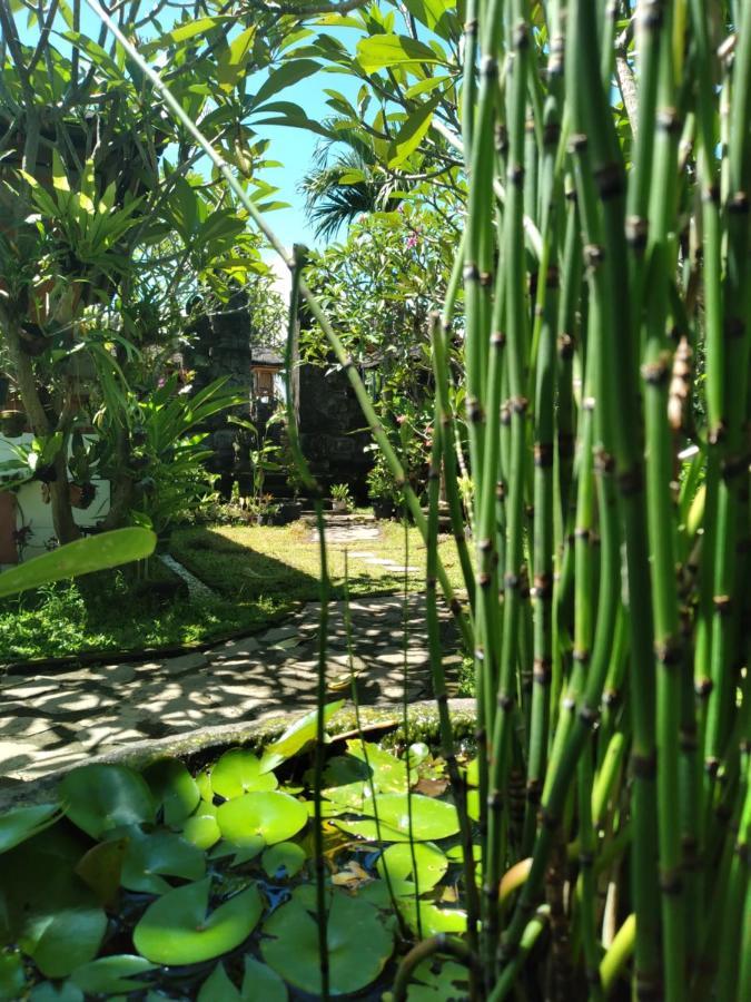 Serongga Guest House Lebih Екстер'єр фото